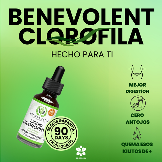 Benevolent Clorofila | Vuelve a sentirte ligera, fresca y con energía estable todo el día.